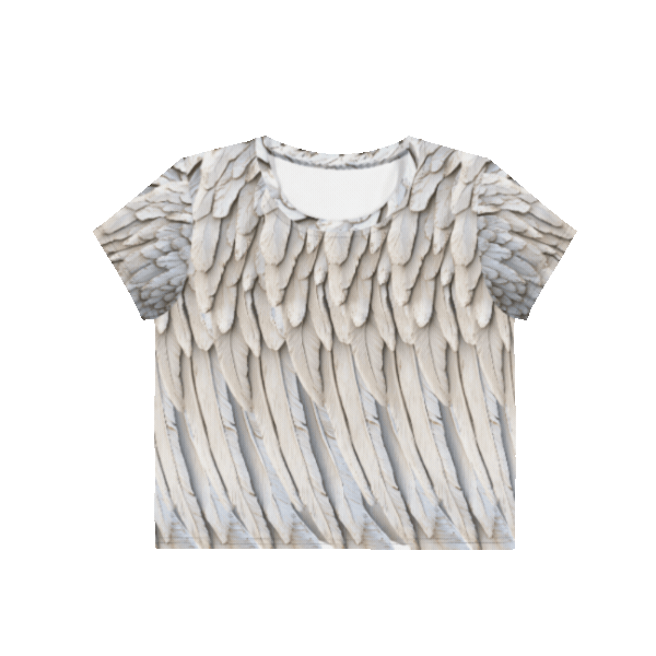 Wings Print Unisex Crop Tee — All-Over Print Festival & Streetwear